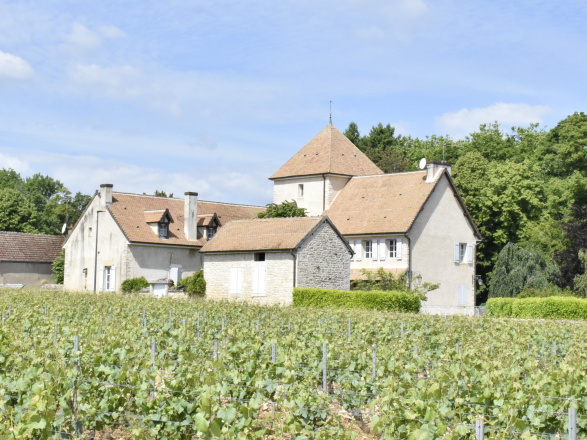 Côte Chalonnaise. PROPRIÉTÉ DE CARACTÈRE EN CÔTE CHALONNAISE
