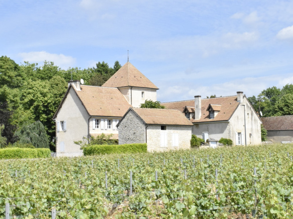 Côte Chalonnaise. PROPRIÉTÉ DE CARACTÈRE EN CÔTE CHALONNAISE